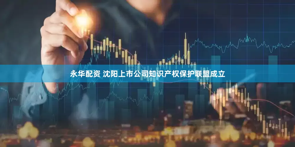 永华配资 沈阳上市公司知识产权保护联盟成立