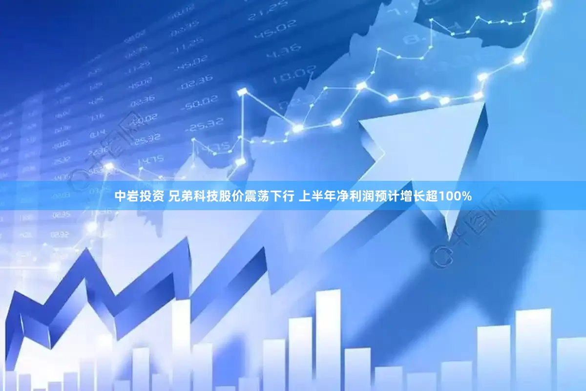 中岩投资 兄弟科技股价震荡下行 上半年净利润预计增长超100%