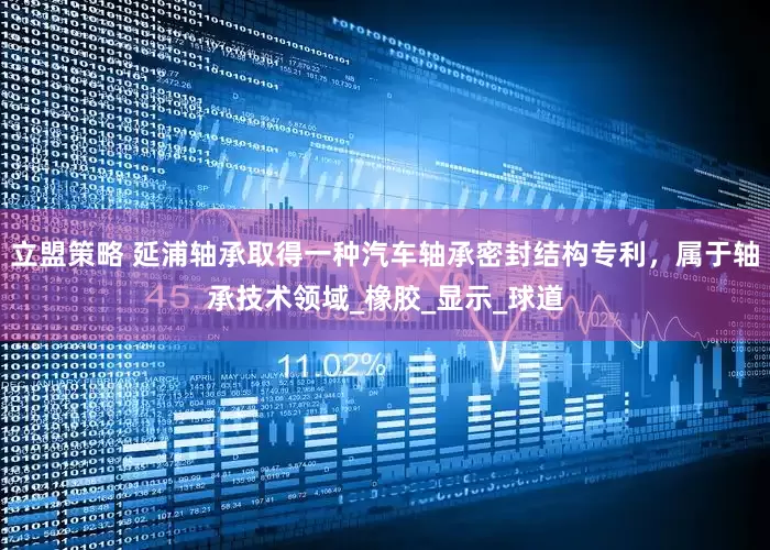立盟策略 延浦轴承取得一种汽车轴承密封结构专利，属于轴承技术领域_橡胶_显示_球道