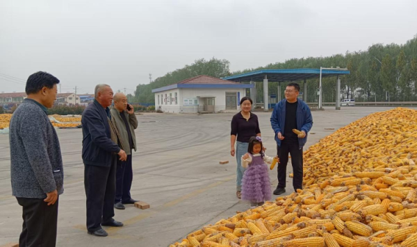 资本E家 山东省应急管理厅挂职干部：守好“粮袋子” 护航三秋生产